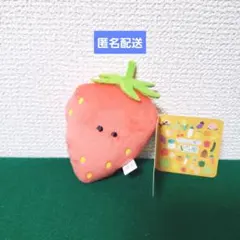 きくねこ様 リクエスト 5点 まとめ商品