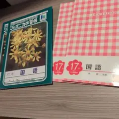 ジャポニカ学習帳他 国語 17行 4冊セット