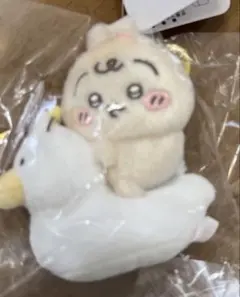 Item thumbnail for item 6883a611-7136-483c-b391-98fa53ac02c2