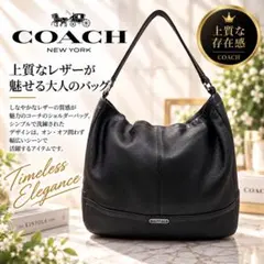 【COACH 】コーチ パーク レザー ホーボー ショルダーバッグ 黒 A4可