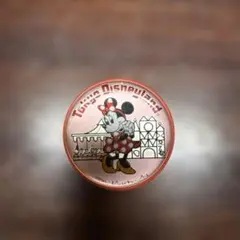東京ディズニーランド ミニーマウス バッジ