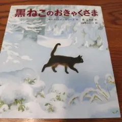 Item thumbnail for item d495714b-8687-47eb-94d0-3474b8375ae0