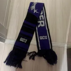 Item thumbnail for item 6378eeb1-26c3-418c-8bba-48f00d54ae28