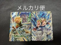 ダイバーズ SDV7-SEC2 SDV8-044 ゴジータ BR