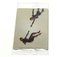 ゼルダの伝説 ティアーズ オブ ザ キングダム カードツインウエハース