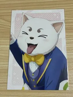 銀魂　よみうりランド　ポストカード　定春