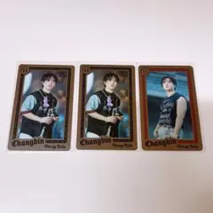 StrayKids dominATE エコパ ライブフォトカード 【チャンビン】