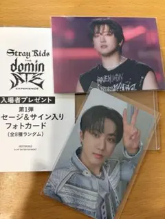 Stray Kids dominATE映画入場者特典　チャンビン