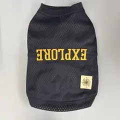 Item thumbnail for item 02e57be0-8dc3-443b-9202-774bf199efd7