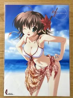 ドルフィンウェーブ 住乃絵紫苑 A3ポスター - メルカリ