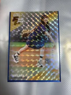 Item thumbnail for item 07b12868-e94a-41ca-a950-3c4445147288