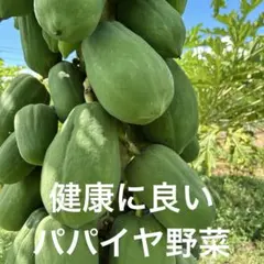 沖縄産新鮮とりたてパパイヤ 1.5kg超のサムネイル