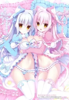 つながる！ゆきみ＆つきみ等身大タペストリー - メルカリ