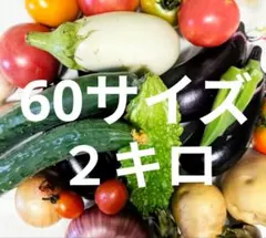 野菜詰め合わせ60サイズ２キロ 　薬品不使用鮮度保持袋入り美味しい空気で育てますのサムネイル