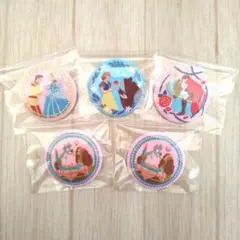 ディズニー 刺繍缶バッジ 5種セット売り