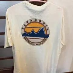 patagonia Ｍサイズ Tシャツ クリーム色
