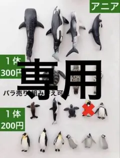 【専用】E. アニア 水族館　動物　恐竜　組合せ自由　フィギュア