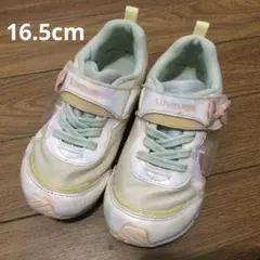 ムーンスター　スニーカー ラブラッシュ　16.5