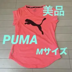 Item thumbnail for item 4bb87c98-1c0d-46b3-8a4b-2128e91ad287