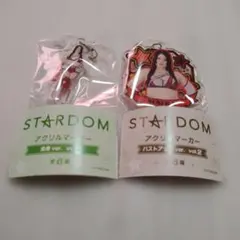 スターダム アクリルマーカー 舞華 2種セット