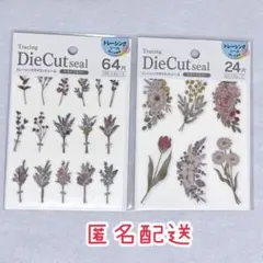 Item thumbnail for item 3efb7e63-183c-4099-8a7d-5a93247155d6