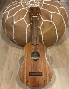 平井大 HIRAIDAI signature model ウクレレ 未使用 - メルカリ