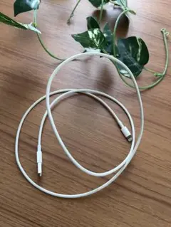 Apple Lightningケーブル ホワイト