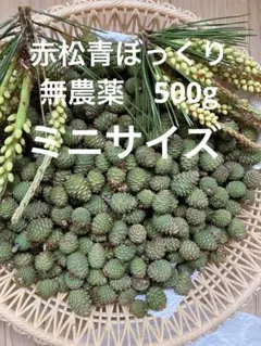 2026年最新】青ぼっくりの人気アイテム - メルカリ