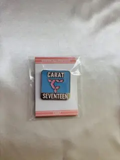 CARAT ポストカード ファンクラブ ミンハオ FC入会特典 the8 SEVENTEEN - セブチ ファンクラブ 更新 ミンハオ the8 トレカ