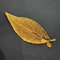 Item thumbnail for item 50b56a17-28e5-44be-9ec1-ca053c1fab0e