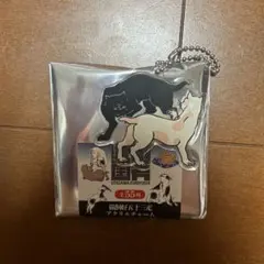 Item thumbnail for item ea0b66df-b348-4c85-adbb-e9d6798cca6b