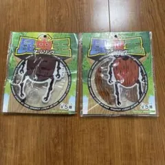 Item thumbnail for item 441d13d4-e0ac-4b44-9e09-8db05f01d859