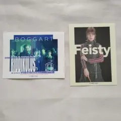 ハリーポッター リーマス・ルーピン ニンファドーラ・トンクス アートステッカー