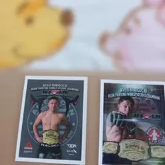 Kyoji Horiguchi RIZIN 2017 チャンピオン　ステッカーのサムネイル