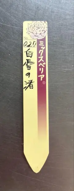 ぺったん 札のみ ミックスベリア おらいさん苗 多肉植物 - メルカリ