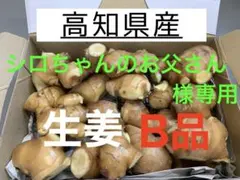 シロちゃんのお父さん様専用 高知県産 生姜 しょうが B品 20kg