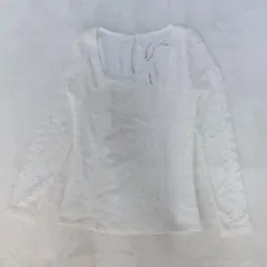 未使用 タグ付き ロイヤルパーティー 総レース 長袖 スクエアネックフリーサイズのサムネイル