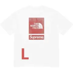 Supreme®/The North Face® S/S