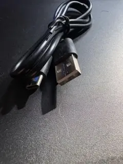 USB-A to USB-C ケーブル ブラック