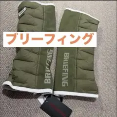 Item thumbnail for item 2c05d0be-5818-4e72-805c-cacd4b600a1e