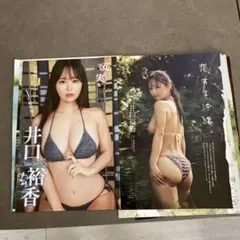 Item thumbnail for item be616f77-90b0-4ee1-842a-c10b44921a50