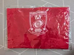 浦和レッズ エコバッグ 折りたたみ 記念グッズ　新品未開封