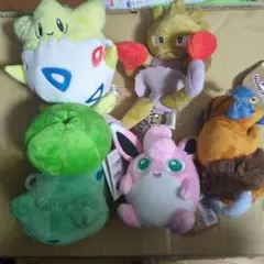 ポケモン　ぬいぐるみ　ポケモンfit