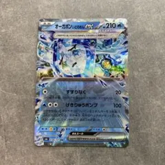 オーガポン いどのめんex RR SV8a テラスタルフェスex 050/187