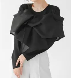 Fit more オーガンジードッキングカットソー