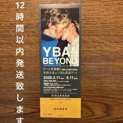 テート美術館 YBA&BEYOND展 国立新美術館 1枚 無料観覧券のサムネイル
