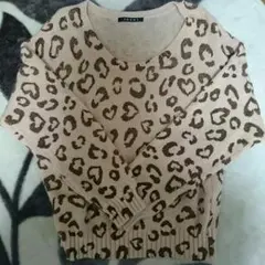 INGNI ヒョウ柄ニット