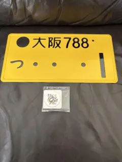 花魁サイドウィンカー、中間サイドウィンカー、日野マークLED.変圧器