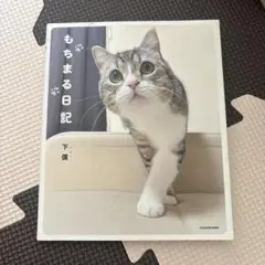 もちゃまる日記 下僕 KADOKAWA