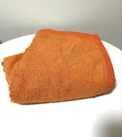 Item thumbnail for item 9f56e607-3a5e-42ad-a0e8-278737bee1a6